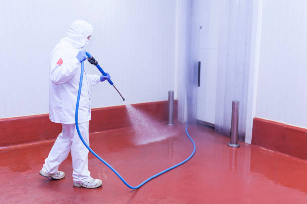 Best Rust and Stain Removal in Waverly, VA